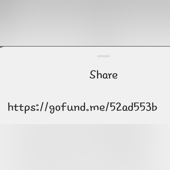 David's Gofundme - Picture 2 of 4